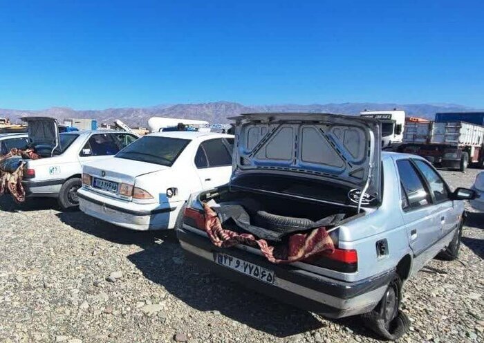 بسته خبری پلیس مرکزی؛ دستگیری عاملان نزاع دسته‌جمعی تا کشف مکمل‌های ورزشی قاچاق