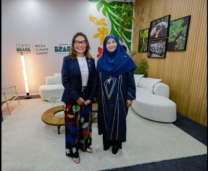 اعلام آمادگی ایران برای تبادل تجربیات و همکاری محیط زیستی با برزیل