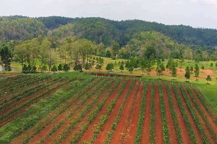 مدیرکل منابع طبیعی اردبیل: ۲۰ هزار میلیارد ریال برای طرحهای آبخیزداری اختصاص مییابد