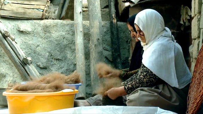 تلاش‌های موفق برای حفظ تنوع زیستی/ پرورش گونه‌ بز در معرض انقراض
