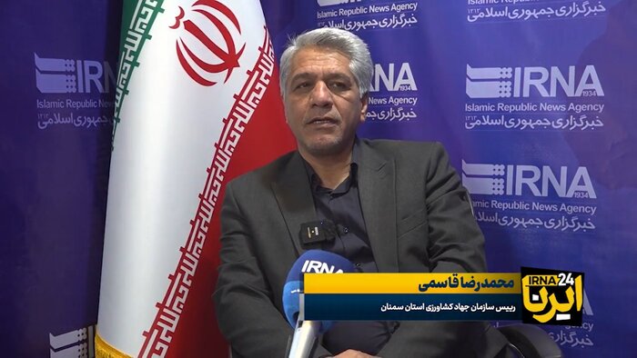 خرید ۱۹۰ تن مرغ مازاد در سمنان؛ اعتمادبخشی به تولید و تضمین فردای بازار