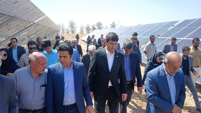 ستار هاشمی: توسعه فیبر نوری، سیاست محوری وزارت ارتباطات است