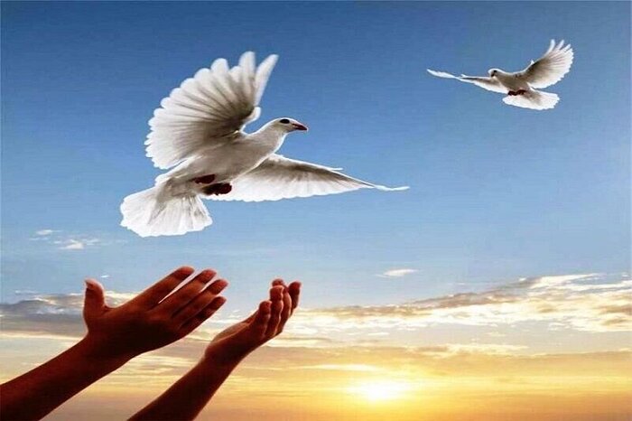 از بغض تا لبخند؛ داستان رهایی ۱۹۳ خانواده از رنج فراق در یزد