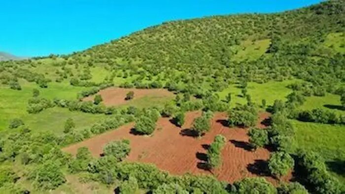 اخبار کوتاه/ درخشش کودکان اردبیل در مسابقه بین‌المللی نقاشی ژاپن