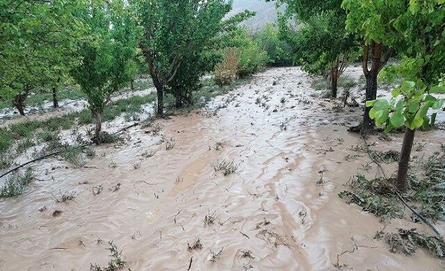خسارت ۱۳۸ میلیارد تومانی سیل  به کشاورزان خراسان‌شمالی