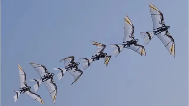 پهپاد متفاوت چین به راحتی دشمن را غافلگیر می‌کند / ربات پرنده یا شاهین واقعی؟