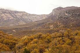 «مانشت و قلارنگ» زیستبوم طبیعت وحشی زاگرس در ایلام