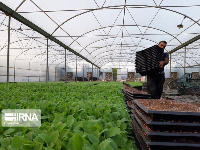 دولت چهاردهم سکوی پرتاب خراسان شمالی به سوی کشاورزی نوین