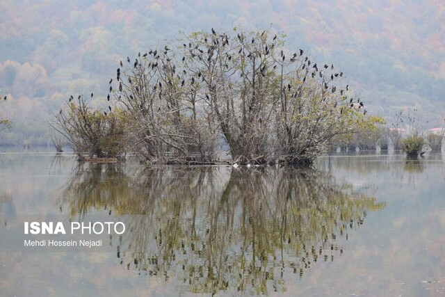 تالاب استیل آستارا؛ جاذبه‌ای بکر در میان الزامات زیست محیطی