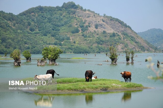 تالاب استیل آستارا؛ جاذبه‌ای بکر در میان الزامات زیست محیطی
