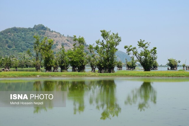 تالاب استیل آستارا؛ جاذبه‌ای بکر در میان الزامات زیست محیطی