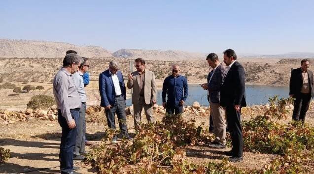 لبخند خاک به تاک