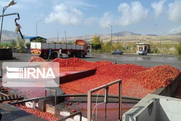 صنایع تبدیلی حلقه گمشده بخش کشاورزی استان اردبیل