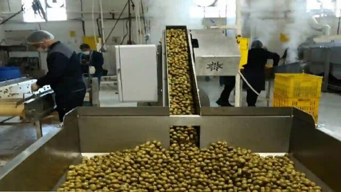 صنایع تبدیلی حلقه گمشده بخش کشاورزی استان اردبیل