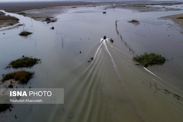 کاهش تراز آب و افزایش رسوبات زنگ خطر برای تالاب انزلی است