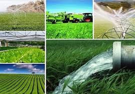 ایجاد اشتغال برای هزار و ۱۶۹ نفر با افتتاح طرح‌های کشاورزی