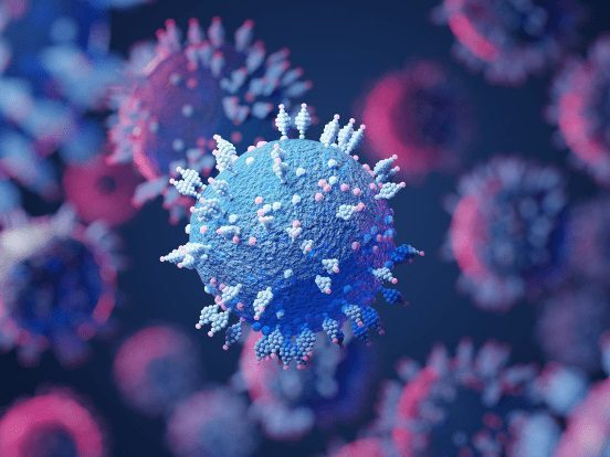 جداسازی ویروس تب برفکی و تولید بذر واکسن در موسسه رازی